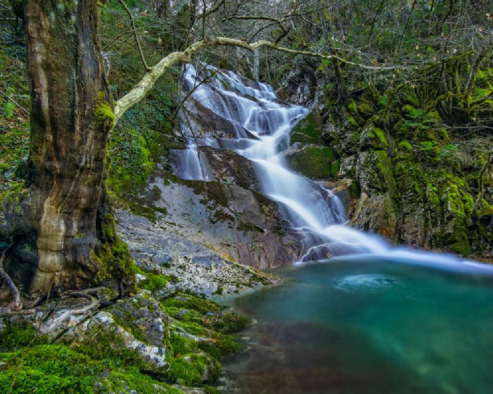 4cardinalpoints.com - Travel - Greece - Arta