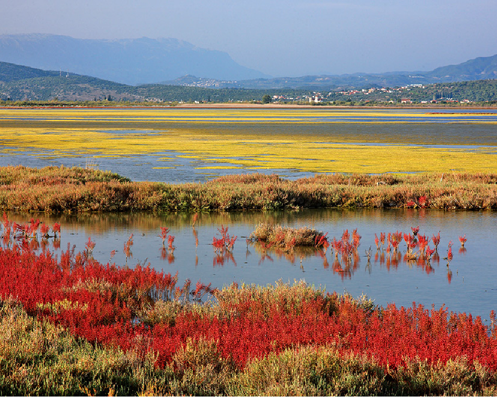 4cardinalpoints.com - Travel - Greece - Arta